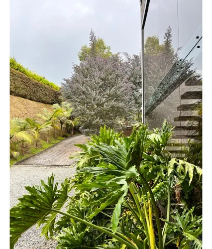 Rhbr-14629 (casa Campestre) 2 Niveles (envigado, Alto Palmas)