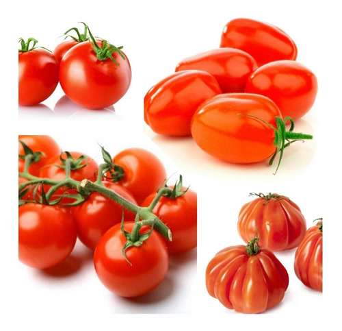 Semillas Tomate Mix Surtidas Variadas Huerta Verdura Natural