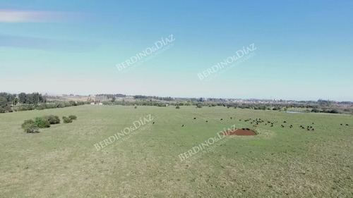 Campo De 32 Has Con Aptitud Para Cantera De Arena A 1 Minuto De San Carlos