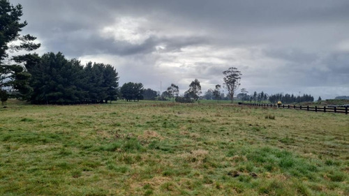 Parcela Cercana A Puerto Varas