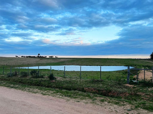 Quinta En Venta En Maldonado