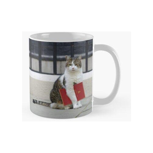 Taza Larry El Gato Con Archivo Rojo Calidad Premium