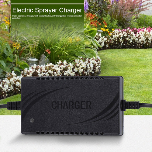 12v1.8a Cargador De Batería Inteligente Accesorios Para Eléc