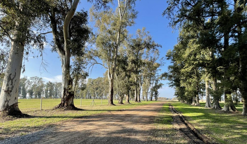 Imagen 13 de 30 de Venta Terreno Barrio Isla 1333mtrs Club De Campo Los Tres Pinos General Rodriguez