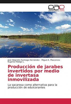 Libro Produccion De Jarabes Invertidos Por Medio De Inver...