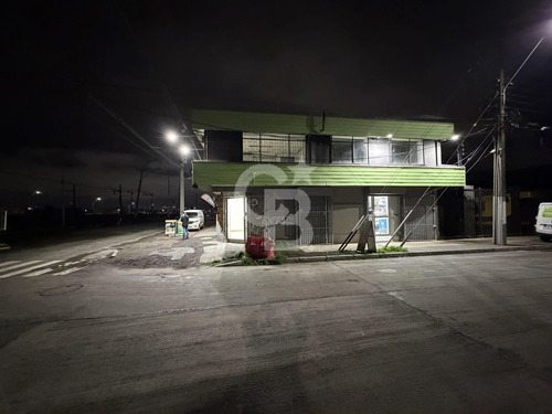 Local Comercial, Iluminación, Ubicación Y Conectividad