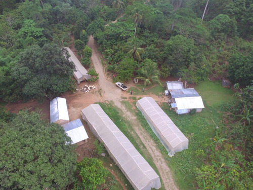 Finca De 11,000 Tareas De Venta En Monte Plata 