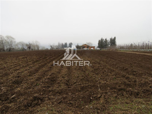 Imagen 18 de 30 de Agrícola En Venta En Teno