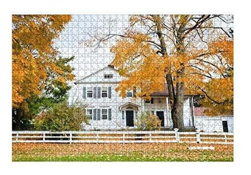 Rompecabeza Tipico - 1000 Piece Typical New England Colonial