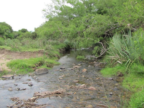 Imagen 3 de 11 de Chacra En Aiguá, Maldonado
