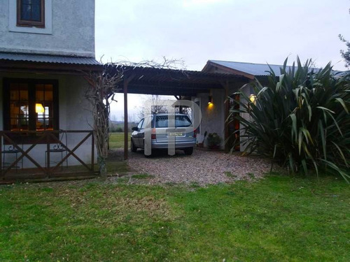 Imagen 8 de 18 de Chacra En Venta San Carlos 3 Dormitorios, 5 Hectáreas