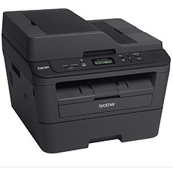 Impresora Multifuncional Brother Dcp-l2540dw Monocromática W