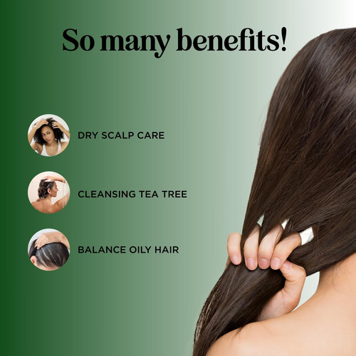 Conjunto De Shampoo E Condicionador Tea Tree - Shampoo E Con