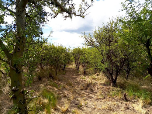 Imagen 6 de 7 de Terreno 4106 M2 Venta Zona Dique Piscu Yaco Cortaderas San Luis