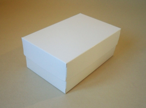 25 Cajas Blancas Con Tapa Indubox T1620 (18x12x7,5cm Alto)