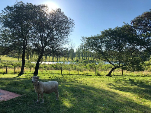 Chacra - Camino Eguzquiza