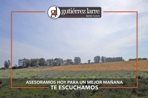 Campo 28 Ha Panorámicas Con Buenas Aguadas Naturales