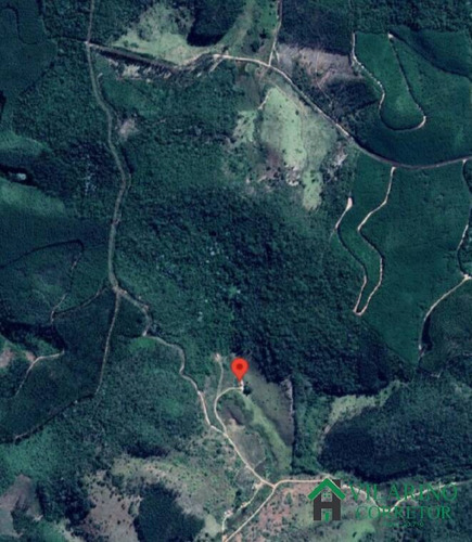 Imagem 13 de 15 de Fazenda Com Muita Água Em Peçanha - 3120
