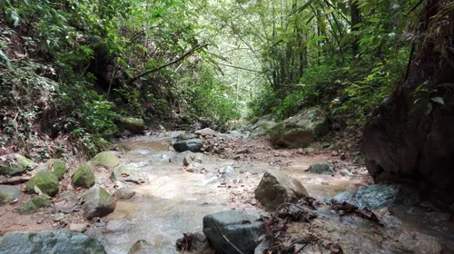 Venta De Finca Agropecuaria En La Martinica, Ibagué