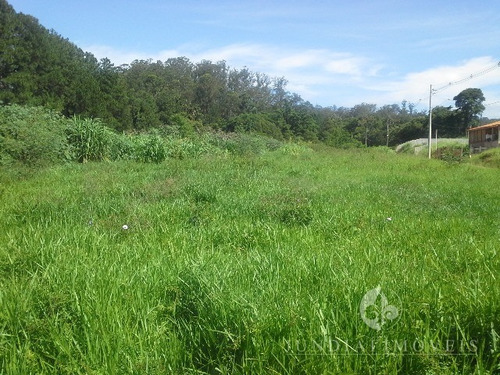 Imagem 9 de 12 de Terreno De 1.261,00 M², Próximo Do Paço Municipal De Jundiaí - Te00015 - 2451825
