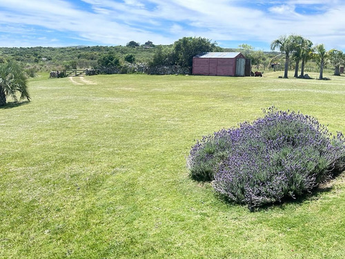 Maldonado Venta Chacra 38 Hectareas 50km De Punta Del Este