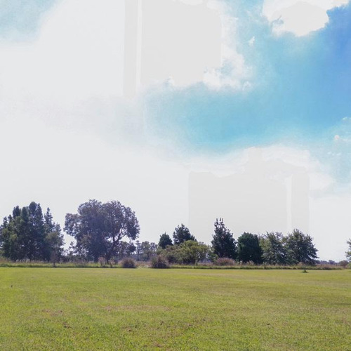 Imagen 15 de 30 de Campo Mixto De 74.38 Has En San Miguel Del Monte