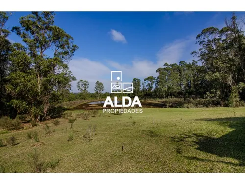Chacra Camino Las Flores (ruta 73) Piriápolis Rural Venta Ch101270