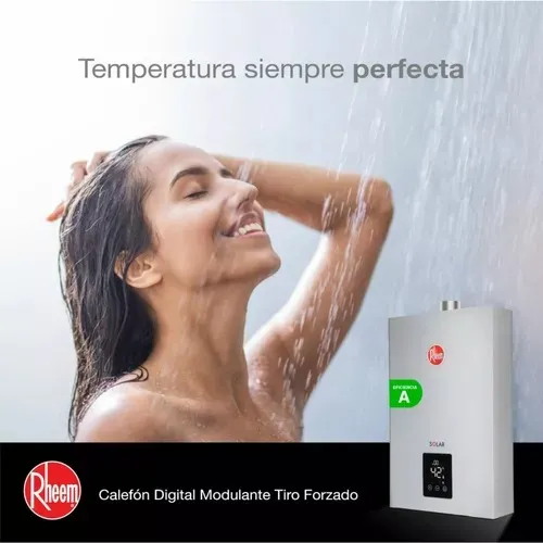 Calefont Rheem Gas Natural 12 Tiro Forzado