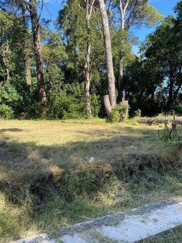 Excelentes Lotes A La Venta En Bella Vista