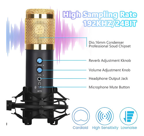 Kit Micrófono Condenser Usb Grabación Profesional Bm-858 Pc Negro