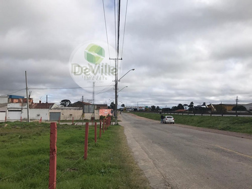 Imagem 14 de 16 de Terreno A Venda No Bairro Borda Do Campo Em São José Dos - 30084-1