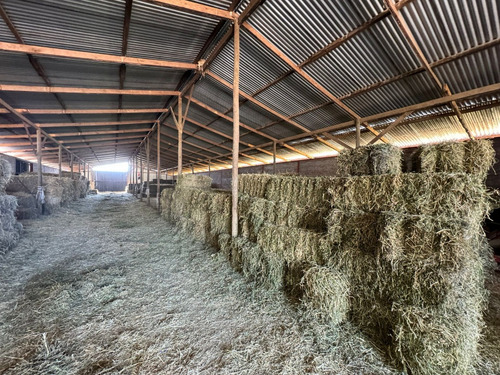 Predio Con Agua En El Mejor Sector Y Con La Mayor Plusvalía
