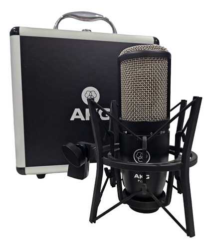 Microfono Condenser Akg Perception P220 Con Araña Y Estuche