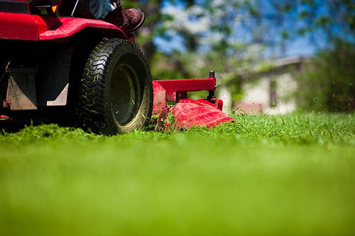 Mantenimiento De Parques, Jardines, Piscinas Y Áreas Verdes