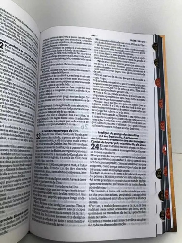 Bíblia Almeida Revista Corrigida Leão Com Índice Lateral