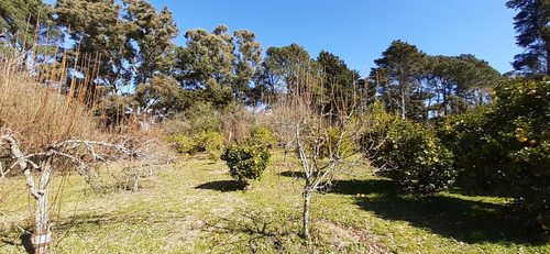 Fraccion De 8.1000 M² Parquizada Y Forestada