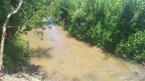 Terreno En Curali,santa Juana , Con Estero  (99143)