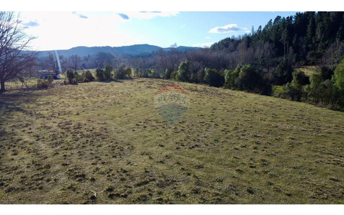 Field In Cunco Of 21.27 Ha. Incredible Opportunity
