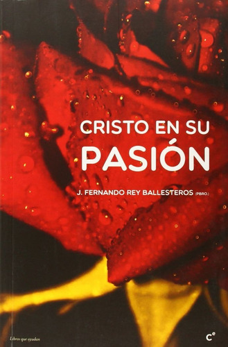 Cristo En Su Pasion, De Rey Ballesteros, Fernando. Editorial Cobel Comunicacion En Español