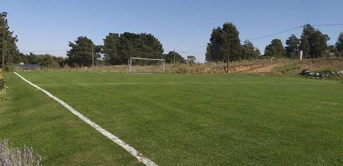 Imagen 3 de 9 de Terreno - Tandil