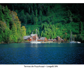 Agrícola En Venta En Cisnes