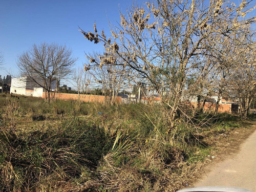 Imagen 11 de 16 de Terreno En Venta En La Plata | 4 E/ 97 Y 98 (lote 3) 300,10 Mts