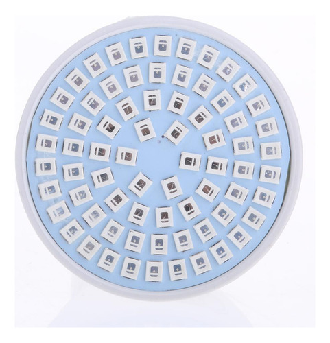 Planta De Interior Crece Ligera 220v 5w