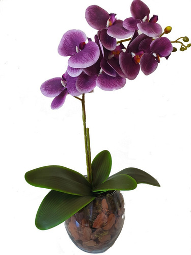 Arranjo De Orquídea Roxa De Silicone No Vaso Vidro | Parcelamento sem juros
