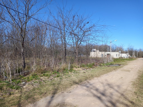 Imagen 4 de 7 de Hermoso Lote En Los Pinos