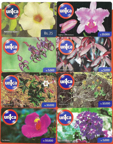 Set De Tarjetas Unica Flora Nacional 8 Pz.