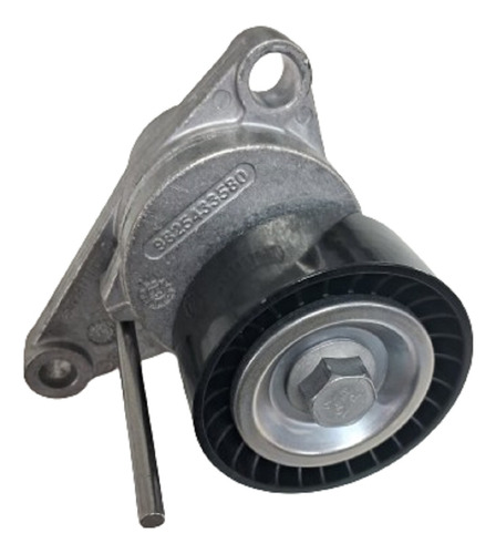 Polia Tensor Correia Do Alternador Peugeot 1636996080