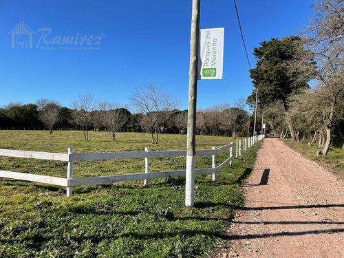Imagen 13 de 30 de Lote Terreno En Venta 300 M2 - Parques Del Morenito, Moreno Norte