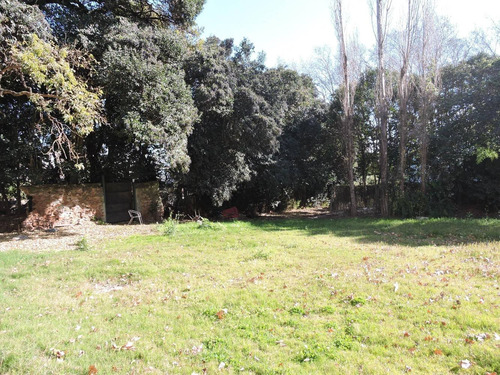 Imagen 13 de 14 de Venta Y/ O Alquiler De Gran Local Comercial