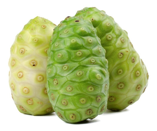 Pack De Jugo Noni Natural De 1 Lt. 2 Pzas